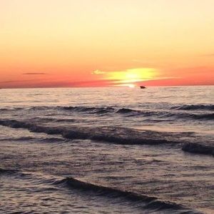 Meet your Posher, Ken